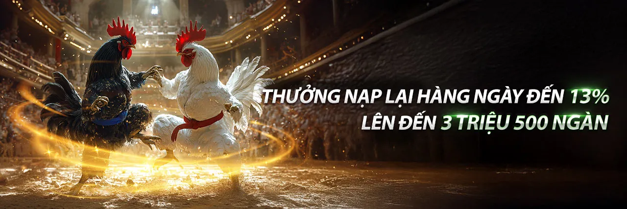 09tr88 và Tuân Thủ GDPR